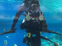 -福州罗源湾海洋世界旅游区