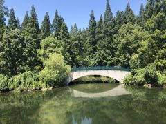 -东平国家森林公园