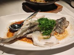-老伙记海鲜码头(北滘店)