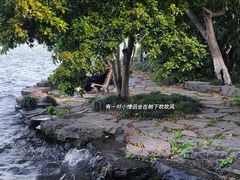 -西湖游船