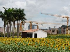 -光明小镇欢乐田园