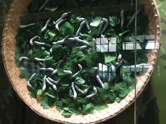 -杭州西湖丝绸文化博物馆