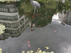 -苏州河梦清园环保主题公园