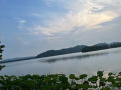 -东湖落雁景区
