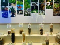 -广东中医药博物馆