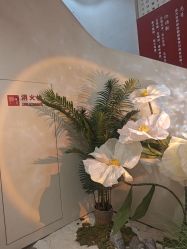点击看大图 -阅年轻·AI家庭健康体质调理