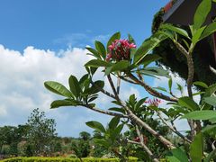 -芒洲湿地公园