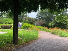-西归浦每天偶来市场