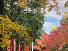 -醍醐寺