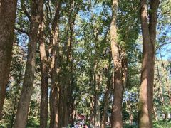 -古隆中景区