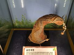 -信不信由你博物馆