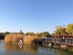 -古塔公园