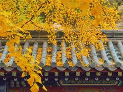 -竹子庵公园