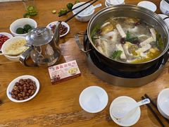 -15年老字号鑫鑫猪肚鸡·椰子鸡海南火锅(兴隆华侨农场店)