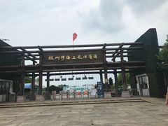 -杭州湾海上花田景区