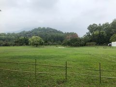 -福建鲤鱼洲酒店