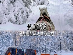 -雾凇岛
