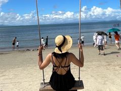 -汕尾风车岛