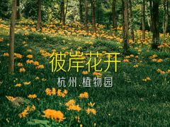 -杭州植物园