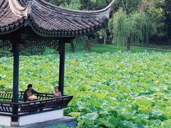 -高子水居