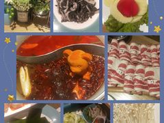 -青瓷火锅料理(西单大悦城店)