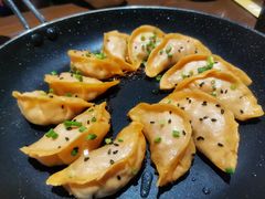 饺子-小金鬼·煎饺·鸽子汤