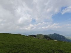 -灵山