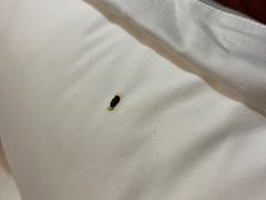 -聚春园驿馆(福州三坊七巷店)