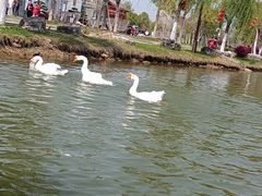 -木兰水镇旅游景区