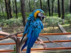 -北京野生动物园