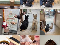 -via coffee(万象城店)