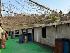 -东湖小天池真人CS彩弹野战基地