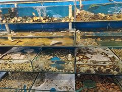 -仙螺岛海鲜自助餐厅(总店)