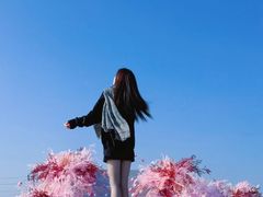 -WFC会仙楼观景台