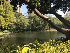-晓港公园