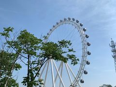 -日照海滨国家森林公园