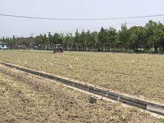-嘉北郊野公园