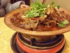 小锅&nbsp;肥死了……-友乐居羊蝎子(西直门店)