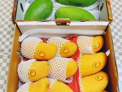 -双福水果批发市场