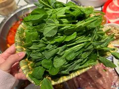 -港火社成都火锅·市井九宫格(城市花园店)