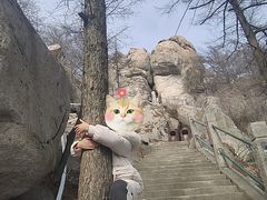 -崂山巨峰游览区