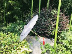 -武汉园博园(武汉自然博物馆)