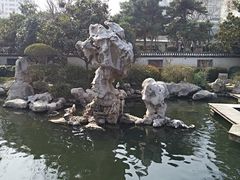 -紫荆山公园