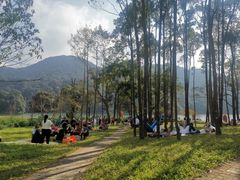 -广州市石门国家森林公园