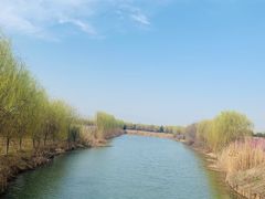 -南湖湿地公园