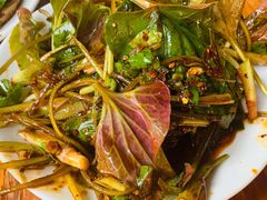 拌折耳根-叶老大肥肠