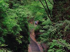 -野三坡百里峡景区