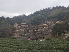 -杨家堂村