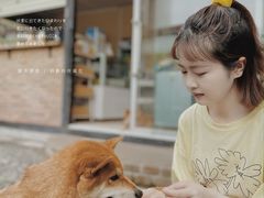 -柴犬高等学院·狗咖·柴犬售卖·宠物训练