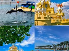 -秦皇岛乐岛海洋王国